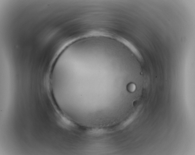 X0000114201094200910091247