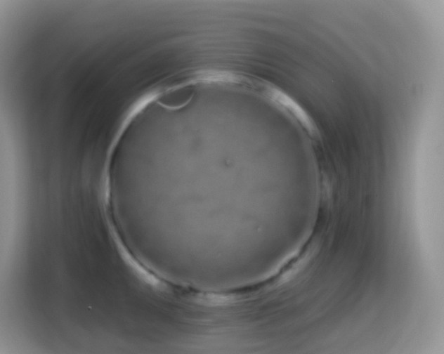 X0000114201095200910091247