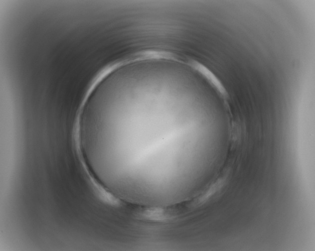 X0000114201098200910091247