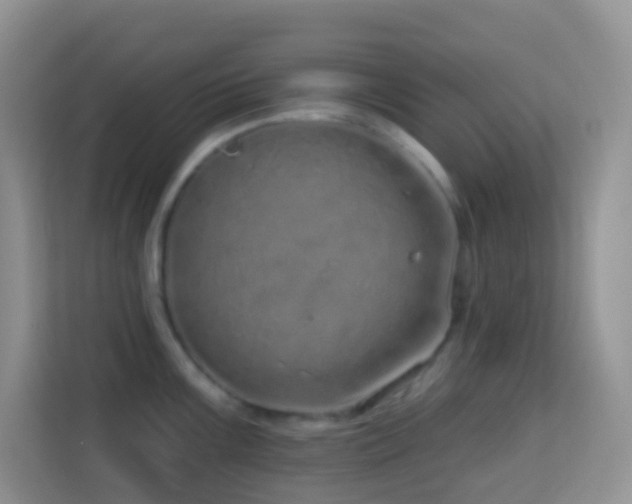 X0000114201099200910091247