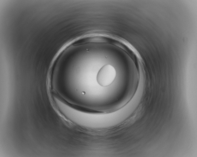 X0000114201101200910091247