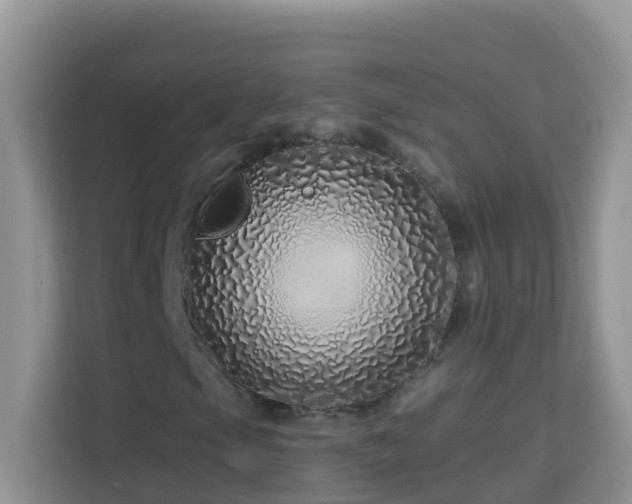 X0000114201105200910091247