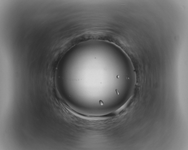 X0000114201109200910091247