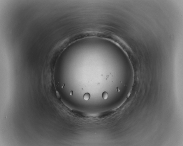 X0000114201111200910091247
