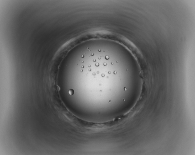 X0000114201112200910091247