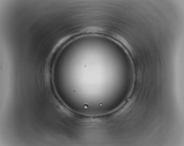 X0000114201115200910091247