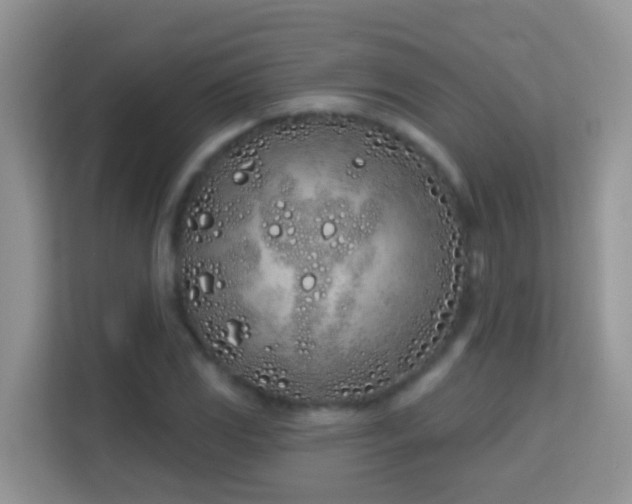 X0000114201117200910091247