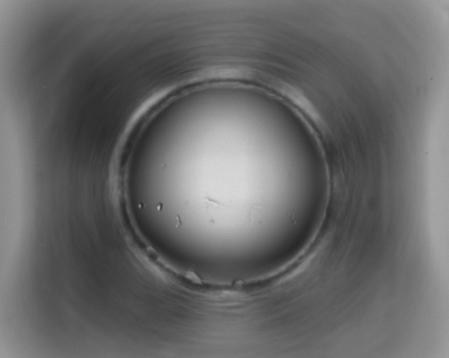 X0000114201119200910091247