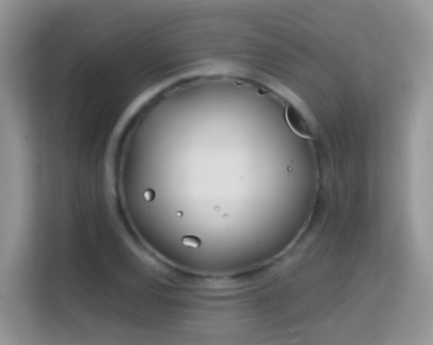 X0000114201120200910091247