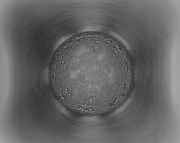 X0000114201121200910091247