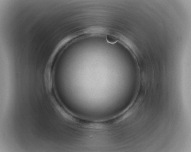 X0000114201123200910091247