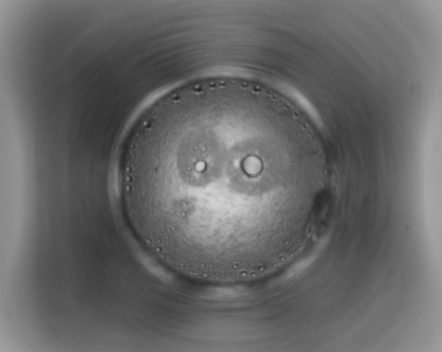 X0000114201125200910091247