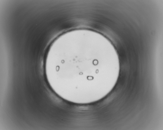 X0000114201126200910091247