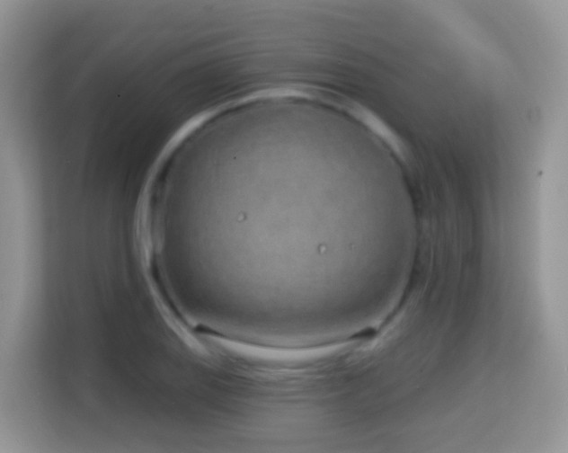 X0000114201127200910091247