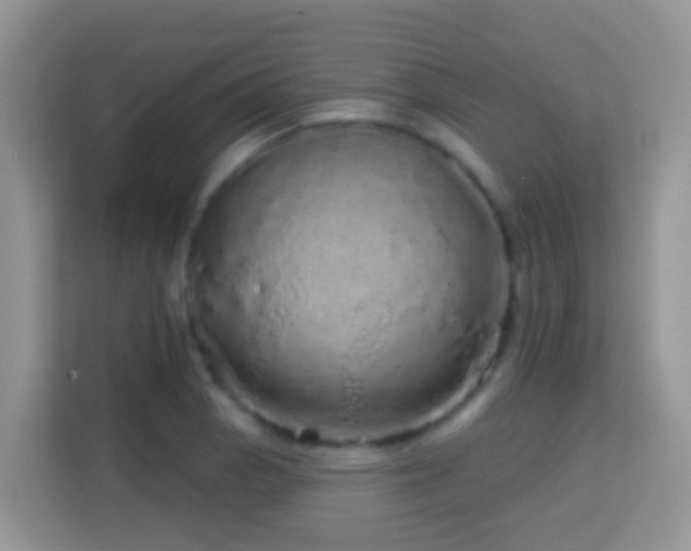 X0000114201129200910091247