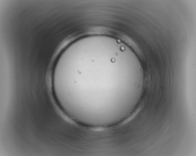 X0000114201130200910091247