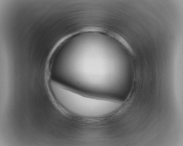 X0000114201132200910091247