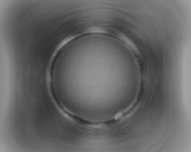 X0000114201133200910091247