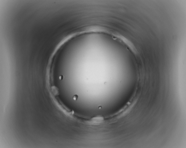 X0000114201134200910091247