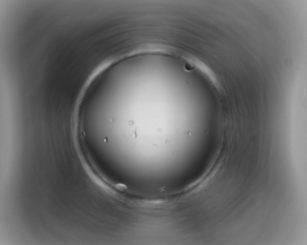 X0000114201135200910091247