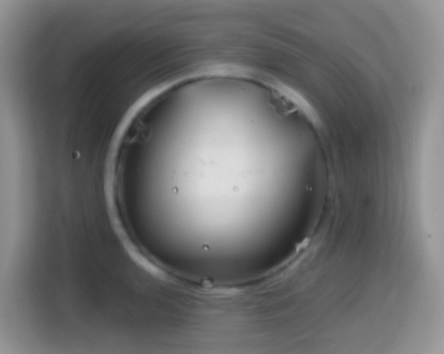 X0000114201136200910091247