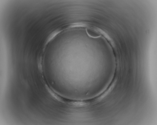 X0000114201137200910091247