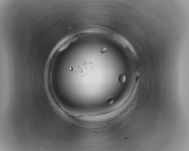 X0000114201138200910091247