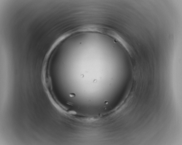 X0000114201139200910091247