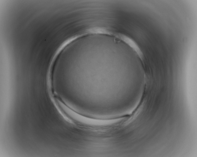 X0000114201141200910091247