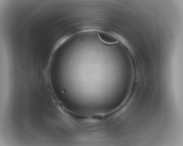 X0000114201145200910091247