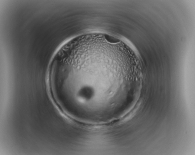 X0000114201149200910091247