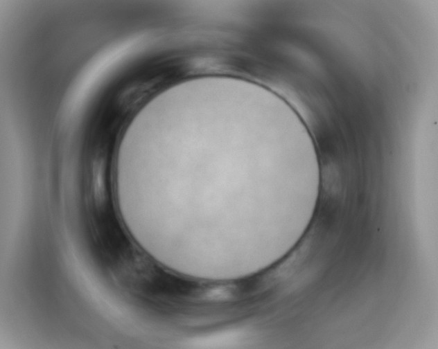 X0000114201150200910091247