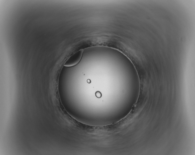 X0000114201153200910091247