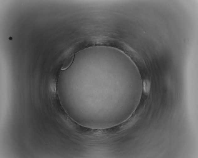 X0000114201155200910091247