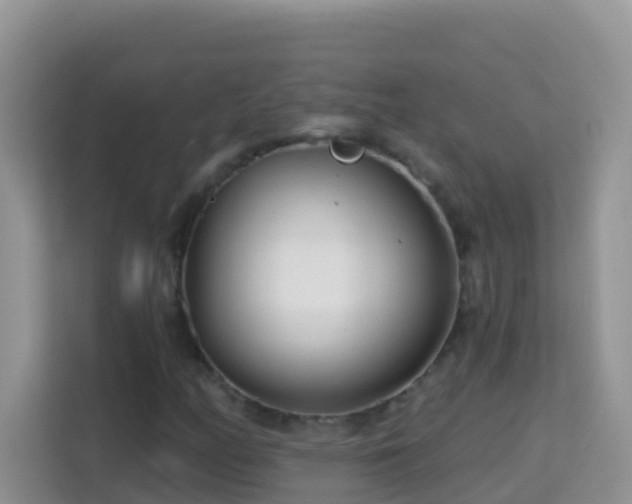 X0000114201158200910091247