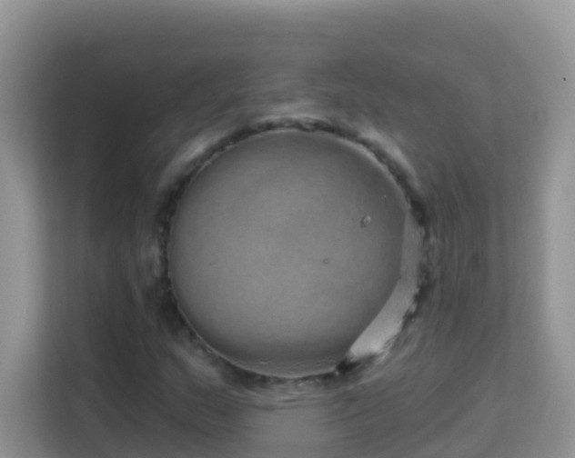 X0000114201159200910091247