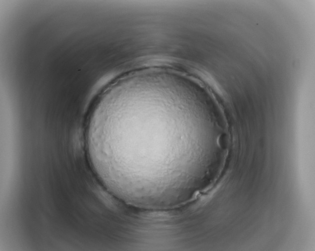 X0000114201164200910091247