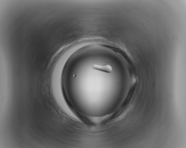 X0000114201165200910091247