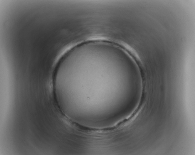 X0000114201167200910091246