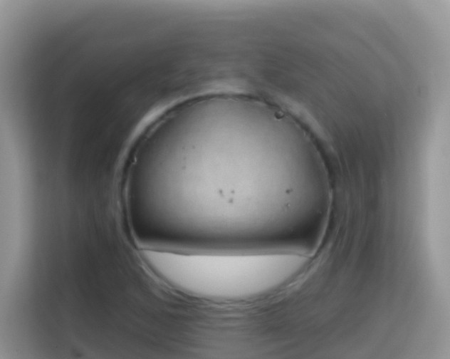 X0000114201168200910091246