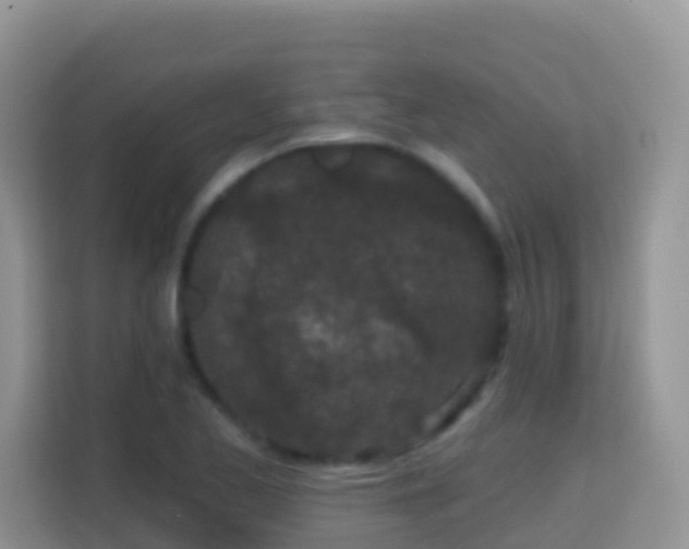 X0000114201173200910091246