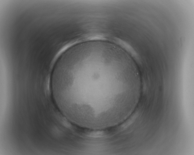 X0000114201174200910091246