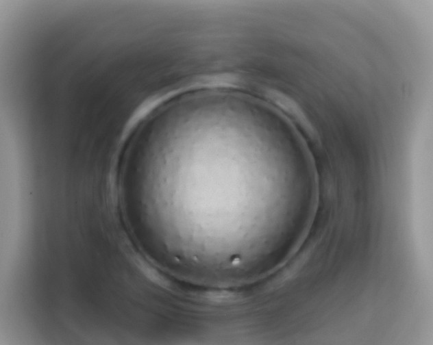 X0000114201176200910091246