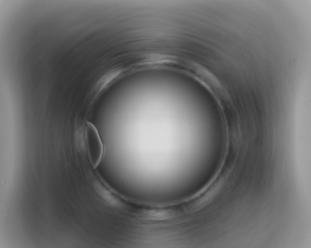 X0000114201177200910091246