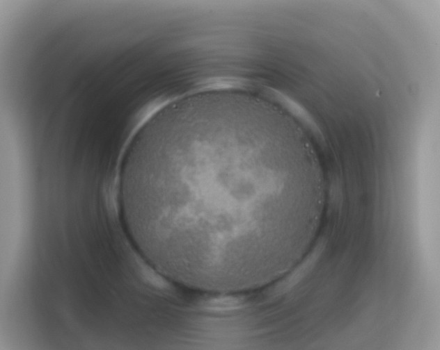 X0000114201178200910091246