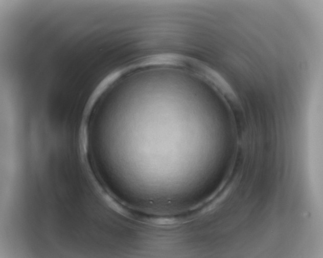 X0000114201180200910091246