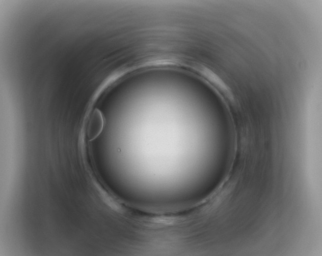 X0000114201181200910091246