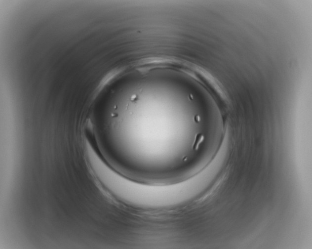 X0000114201185200910091246