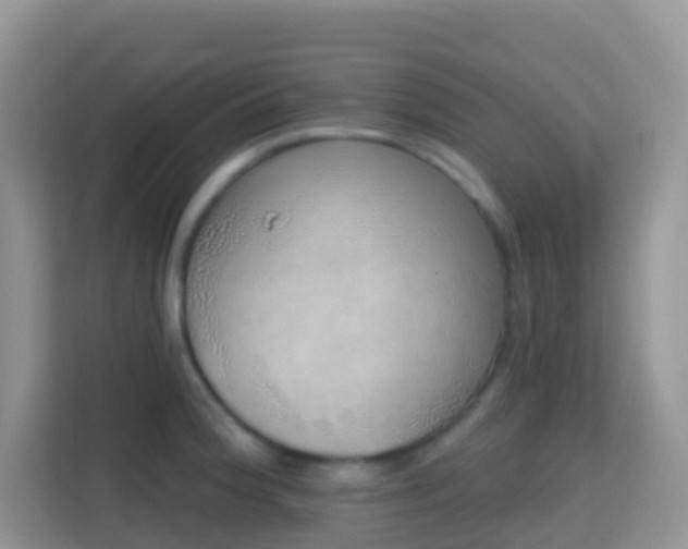 X0000114201188200910091246