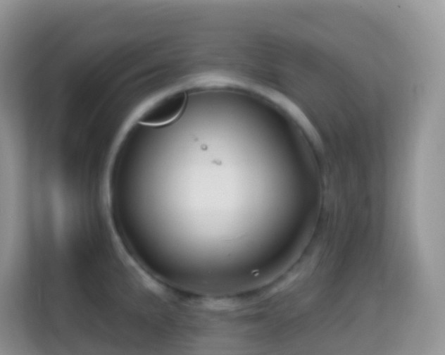 X0000114201191200910091246